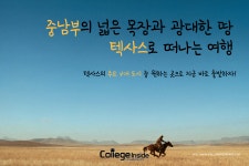 넓은 목장과 광대한 땅 “텍사스 여행지 총 정리” | Poster, Movie posters, Movies