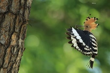 디지털사진가들의 커뮤니티 | 사진