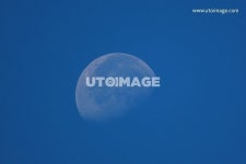 낮에나온 반달  kimgs4725, 사진, 달, 반달, 크로즈업, 파란, 하늘, 자연, 환경, 음력, 청정, 망원, 배경, 오브젝, 오브젝트 | 사진, 웹디자인, 하늘