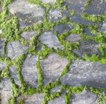 stone - Google 검색 | Gartensteine
