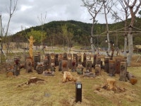 대가야생활촌 ~~ - [공주 다육아트] - 대구맘 - SINCE 2003 대표맘 카페, 결혼, 육아, 돌잔치, 유치원(이미지 포함) | 돌잔치, 결혼, 육아