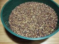 농장의 산물에 있는 영철,Justine 피님의 핀(이미지 포함)