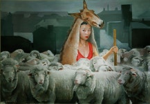 참신한 구성에 있는 핀