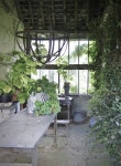 #conservatorygreenhouse | 조경, 인테리어