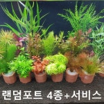 Pin on 생활정보