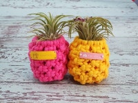 이오난사 파인애플화분(이미지 포함) | 마크라메, 드림캐쳐, 블로그