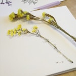 수채화, 펜일러스트 :: 수채화 일러스트, 일상 드로잉, 화실의 하루 :)