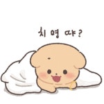 SKZOO KAWAII에 있는 핀