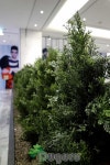 artificial landscape 실내조경 , 인조실내조경 , artificial  indoor landscape , planterior - 2020