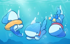 브레스 VRESS on Twitter | Pet shark, Cute shark, Cute animal drawings
