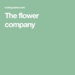 제이오케이컴퍼니성수호랭이꽃집 | The flower company | 블로그