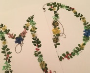 Pretty Pressed Petals by Micki에 있는 immicki님의 핀 | 압화