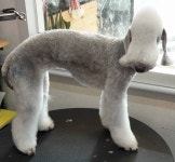 매번 아침일찍 출발해서 피곤하실텐데도 웃으면서 맡겨 주셔서... For see more of fitness life images visit us on our website... 