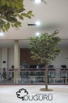 인조나무 , 인조느티나무 , 실내조경 , artificial trees , indoor landscape , planterior - 2020
