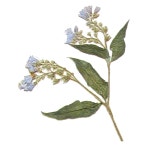 flower shower에 있는 tikky님의 핀 - 2020 | 압화, 꽃, 분위기 보드