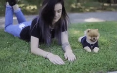 오늘의유머 - 개판난 움짤 모음.gif 개판난 움짤 모음.gif