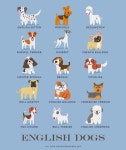 dogs of the world(이미지 포함) | 개 품종, 강아지 그림, 고양이 품종