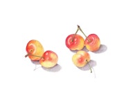 drawings | 색연필