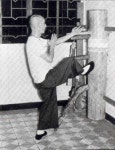 詠春拳 ( 葉門 宗師 )에 있는 梁承鎬님의 핀 | 무술, 운동