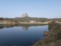 구창본님이 진안마이산힐링에 올린 아이디어