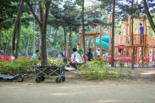 MMTH양재시민의숲 | 양재시민의 숲 | Baby strollers