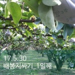 미숙 김님의 가자 유성농장으로 이미지