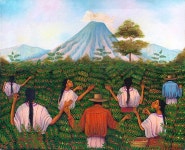 Guatemala coffee | 커피
