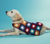 Granny Square dog coat | 애완동물 의류, 애완동물, 옷