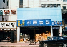 진진가든에 있는 성균 신님의 핀 - 2023