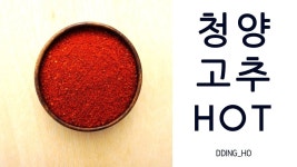 [청양] 띵호가 들려주는 청양 고춧가루!! 구수하게 매콤한 맛으로 초대합니다. | 고춧가루