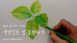 보태니컬 아트 기초편 - 색연필로 잎 표현하기 | 캔버스 페인팅, 색연필, 색연필 그림