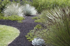 Flora Grubb Gardens on Instagram: “Heres a simple but dramatic look you can get for your own garden with just a few key plant... 