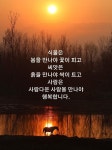 사람다운 사람 | 명언, 귀여운 단어, 삶의 교훈 인용구