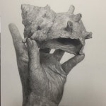 手 hand 貝 デッサン dessin drawing | 드로잉, 예술, 연필화