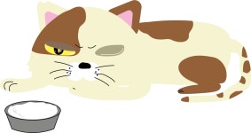 고양이 친구를 만들어보고싶었어. 왜 나만 고양이 없어... | 고양이