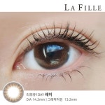 렌즈라라인스타에 있는 핀