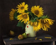 *** by Elena Khazina on 500px | 꽃, 수채화, 정물