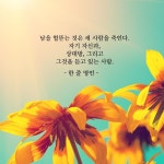 좋은 글에 있는 달팽이님의 핀 - 2020 | 최고의 명언, 인생 인용구, 명언