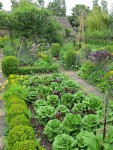 Gorgeous summer greens in The Potager Garden at Barnsley House | 정원 가꾸기, 정원 아이디어, 퍼머컬쳐