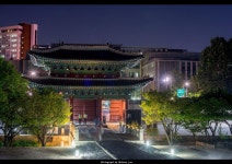 2016 창경궁 야간기행 | 여행 행사 풍경 사진 갤러리 | 루리웹 모바일 | 여행, 풍경 사진, 사진