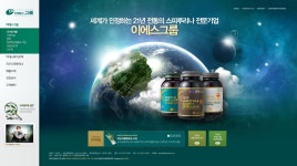 이에스그룹 오피셜 사이트 리뉴얼 | 사이트