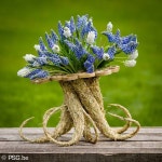 Image du tableau 플라워아트2 de 윤희 | Deco floral, Deco fleur, Fleurs