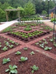 채소 정원에 있는 고미희님의 핀 - 2020 | 채소 정원 디자인, 채소 정원, 조경설계