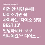 다이소가면 꼭 사야하는 다이소 잇템 BEST 12 안녕하세요. 코코 언니에요^^ 다이소 많이들 가시죠? 안 가본 사람은 있어도 한번만... 