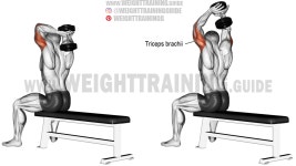 Pin on 운동 훈련 강화  Strengthening exercise training 기본운동