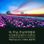 아, 주님, 주님이야말로 내가 받을 유산의 몫입니다. 주님께서는 나에게... (시16:5, 새번역) 새로운 한 주를 시작하는 우리에게 주님이 힘과 용기를... 