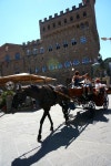 Piazza della Signoria, Firenze, Italy 피렌체 시뇨리아 광장 | Museo