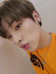Pin by Moonlight Illuminati on KINGDOM (킹돔) in 2022 | Chain necklace, Choker necklace, Necklace