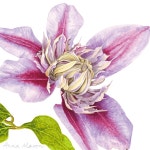 보태니컬 아트에 있는 BongAe Song님의 핀 | 꽃그림