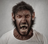 Pin on 그림책만들기